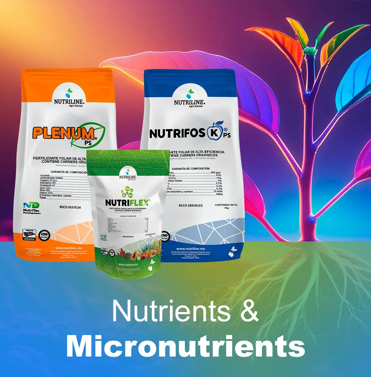 Nutrients and Micronutrients