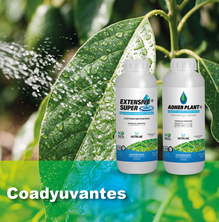Coadyuvantes