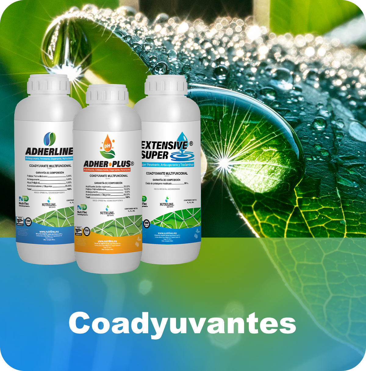 Coadyuvantes