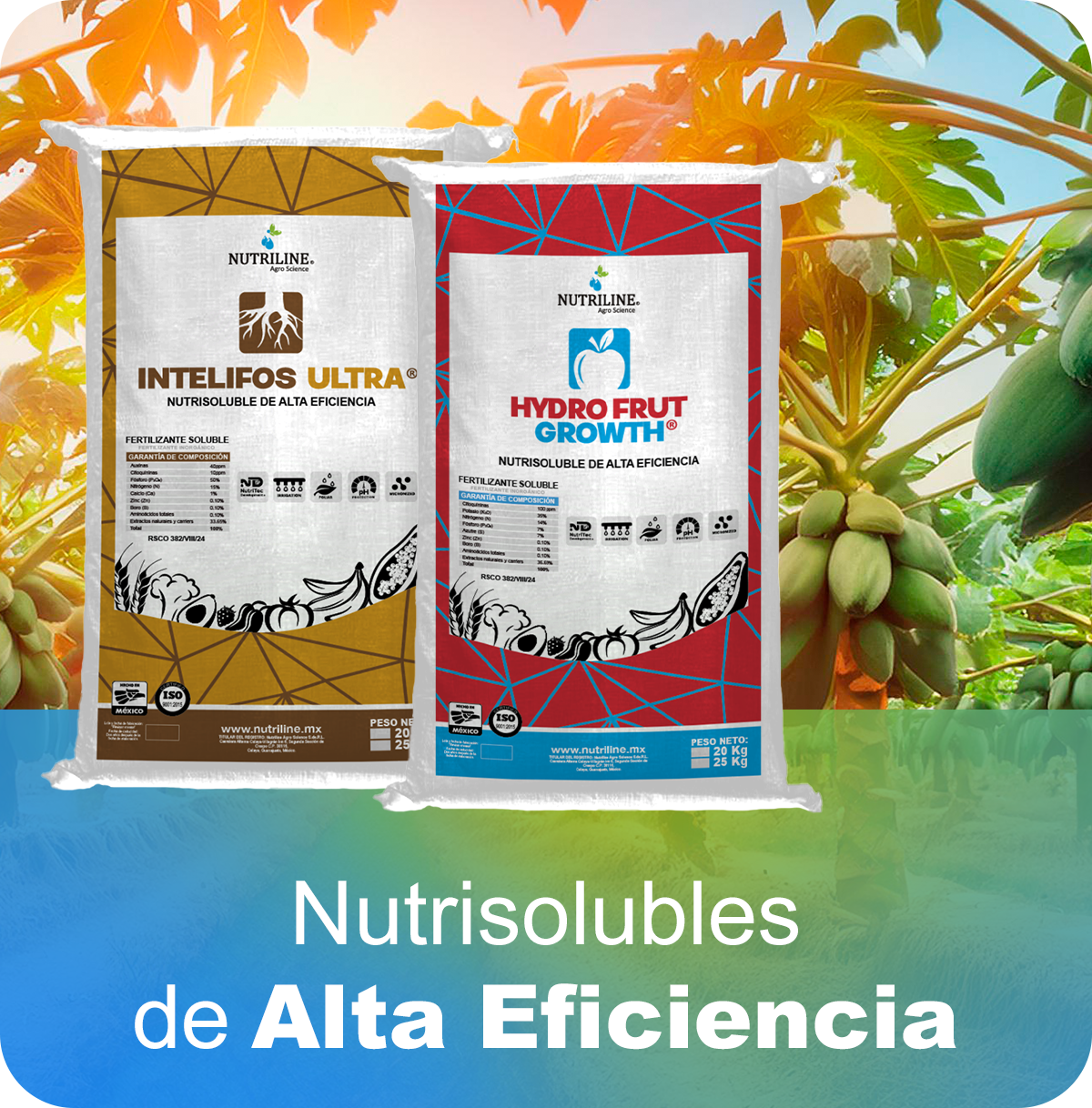 Nutri Solubles
