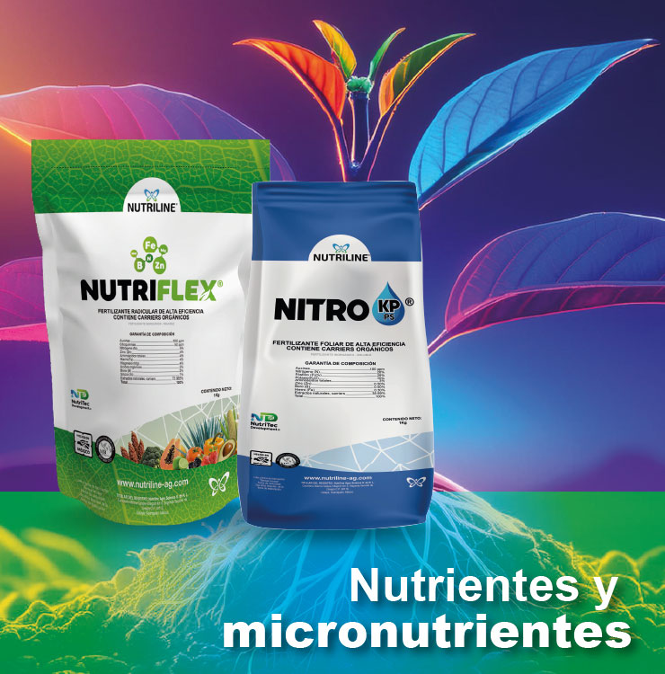 Nutrientes y Micronutrientes