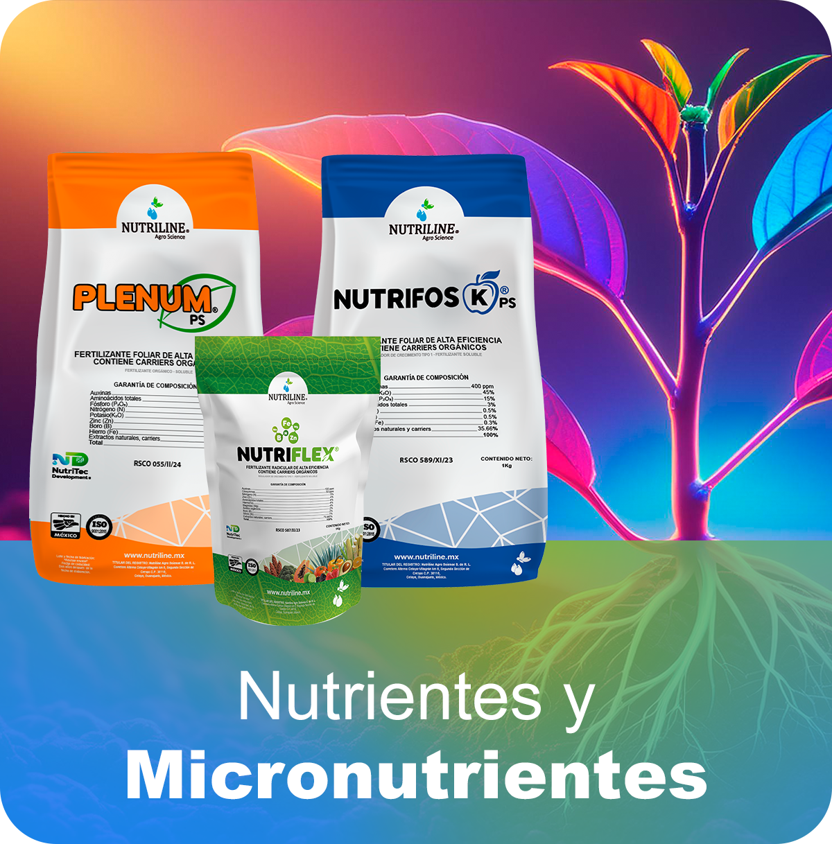Nutrientes y Micronutrientes