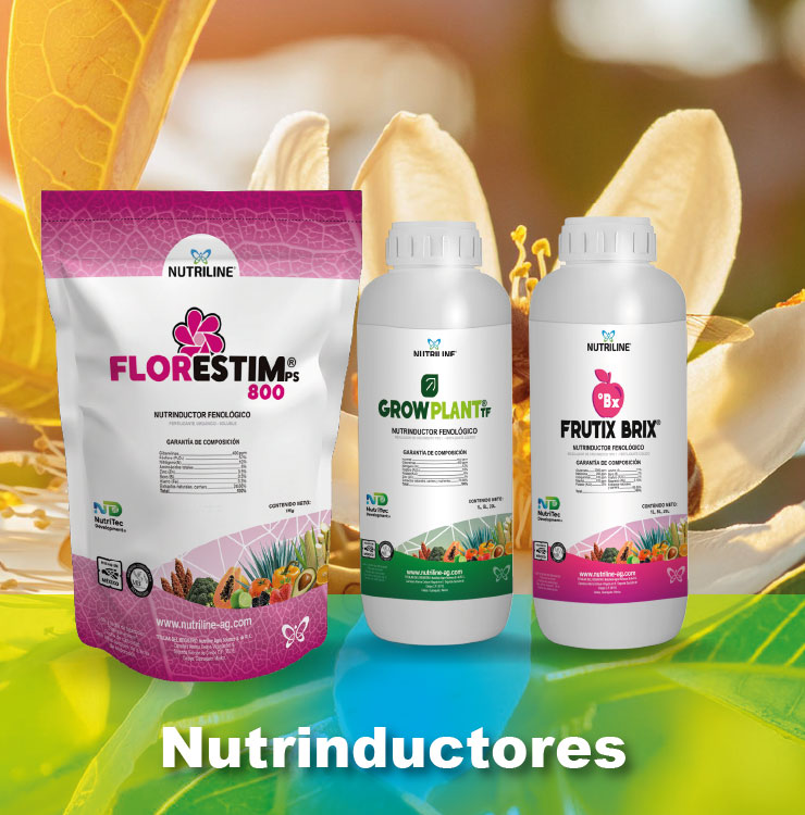 Nutrinductores