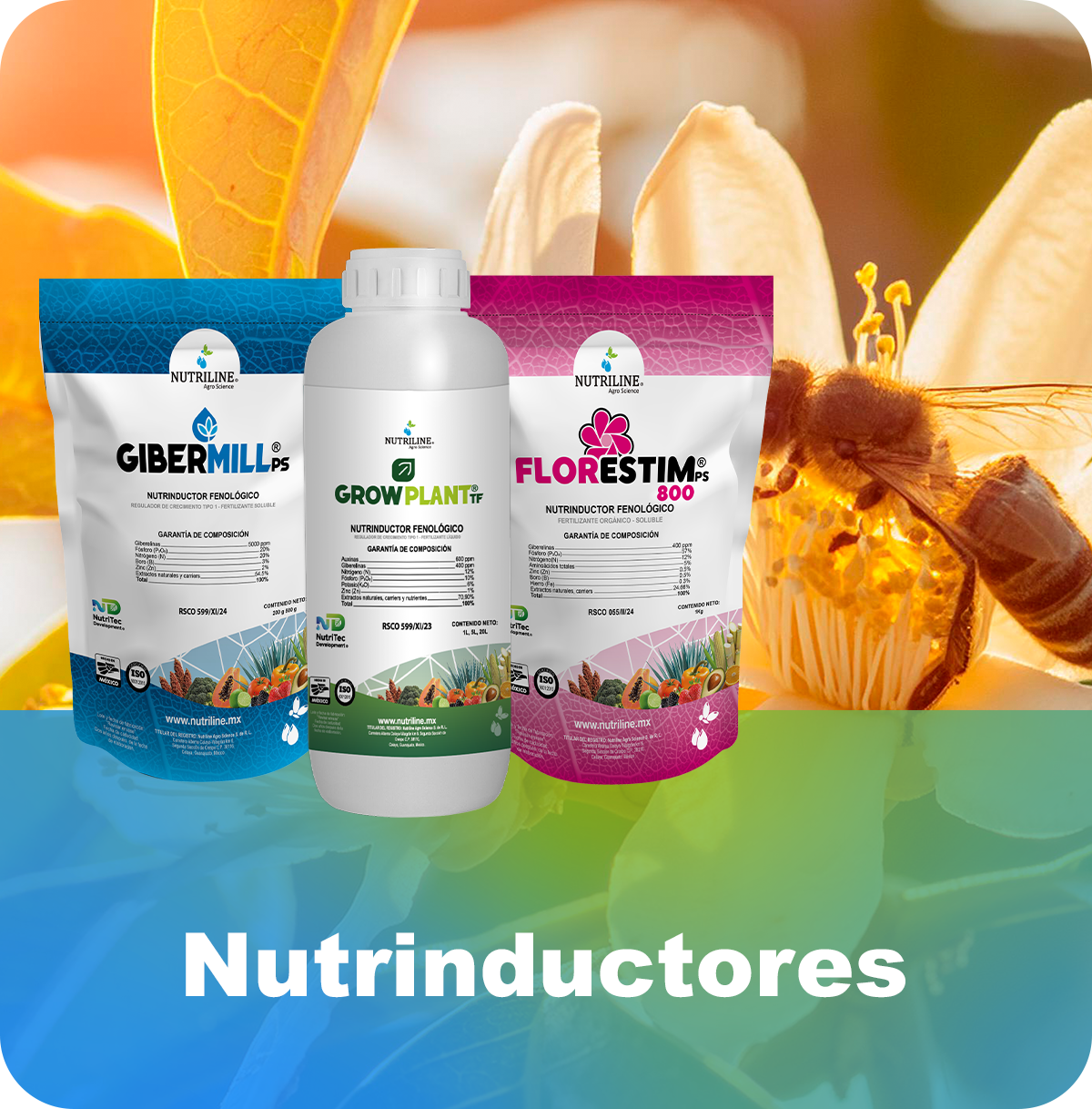 Nutrinductores