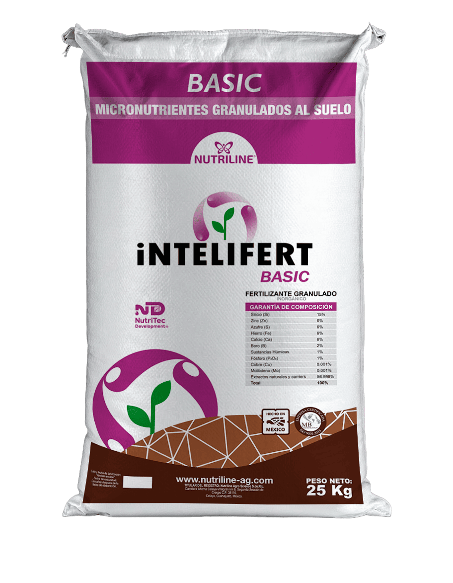 INTELIFERT BASIC