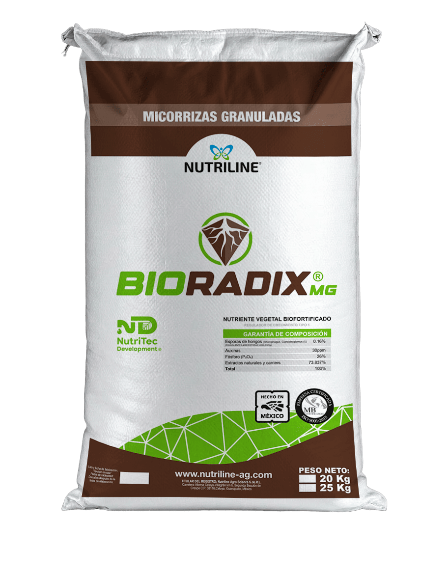 BIORADIX MG