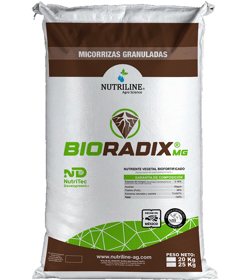 BIORADIX MG