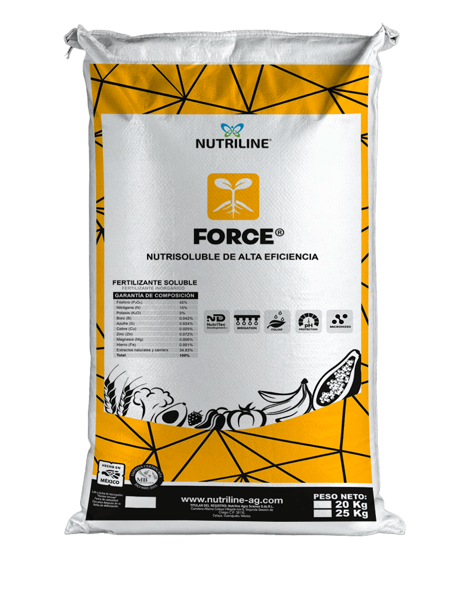 FORCE