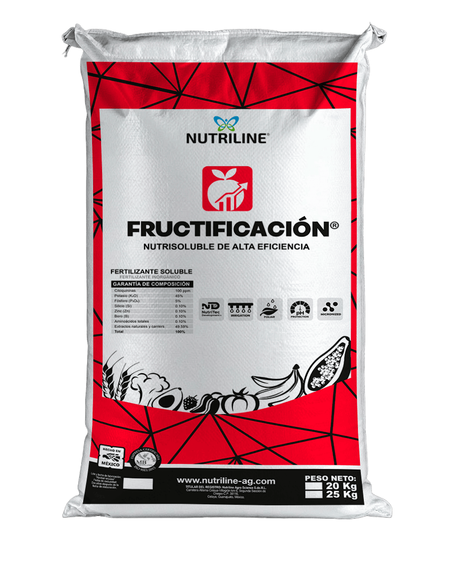 FRUCTIFICACIÓN