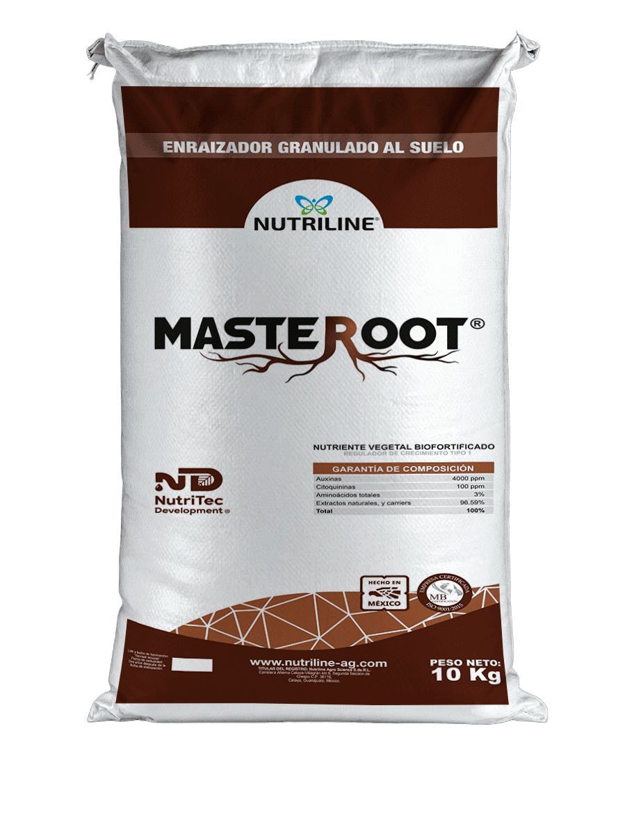 MASTEROOT GRANULADO