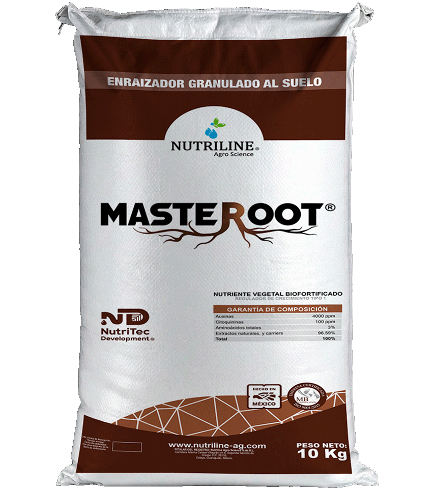 MASTEROOT GRANULADO