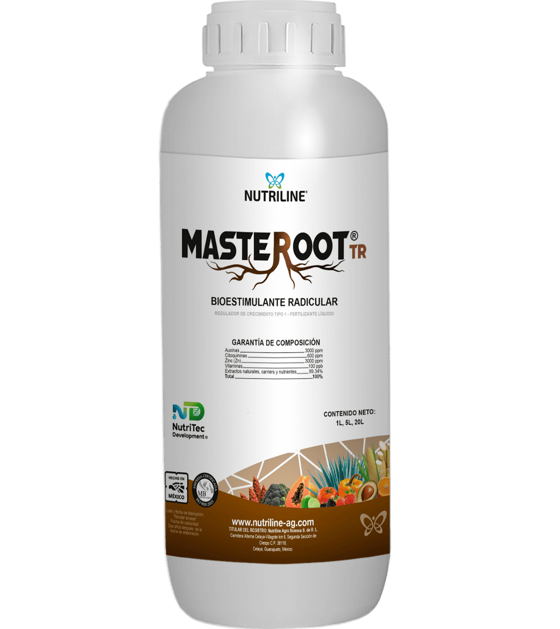MASTEROOT