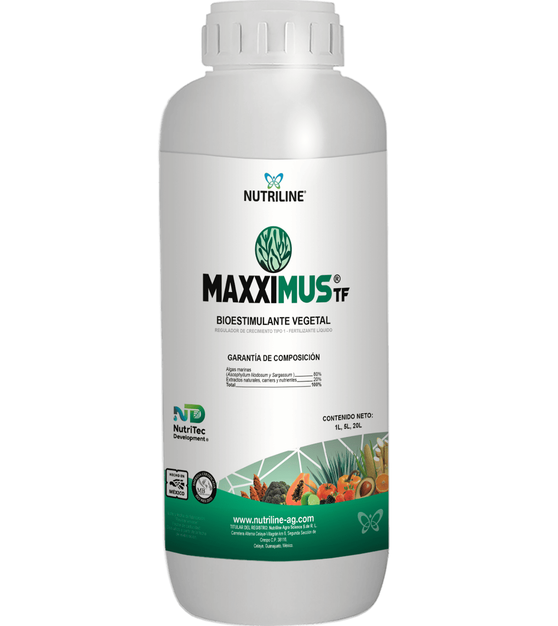 MAXXIMUS