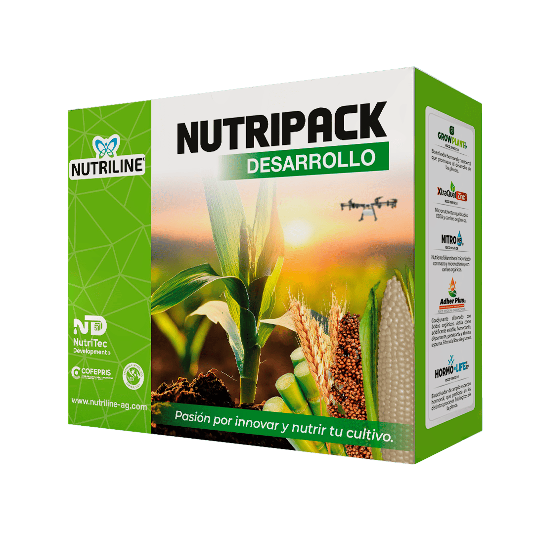 NUTRIPACK DESARROLLO
