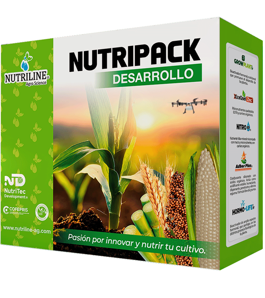 NUTRIPACK DESARROLLO