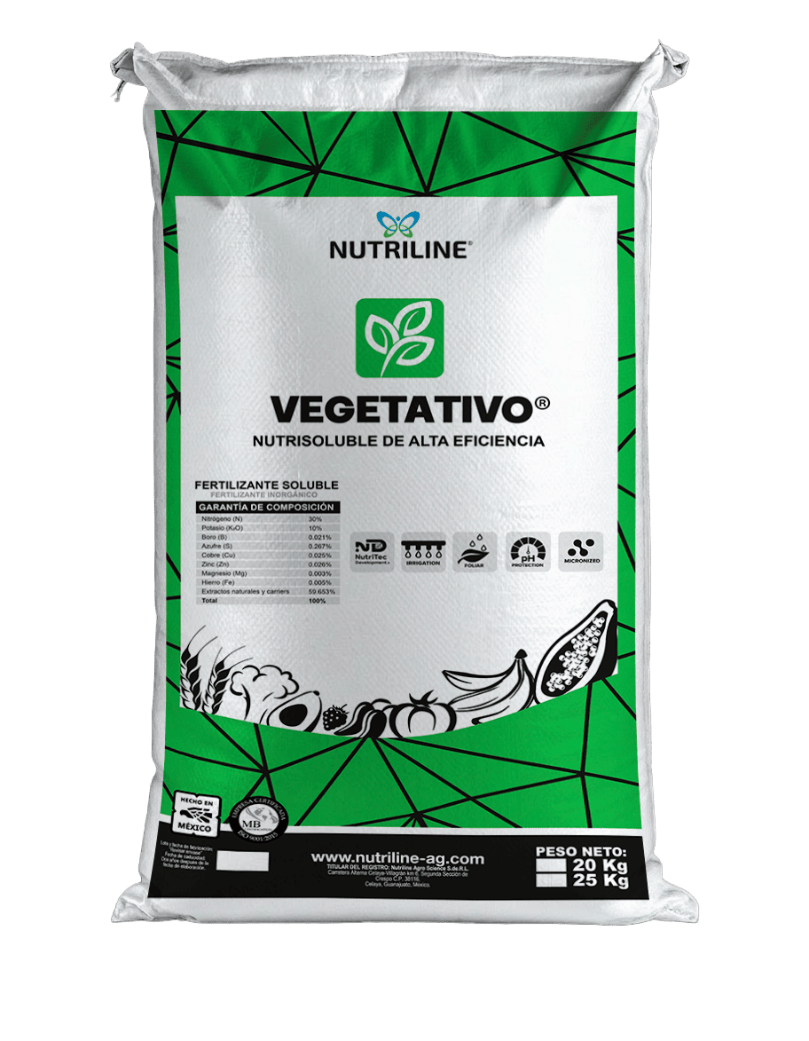 VEGETATIVO